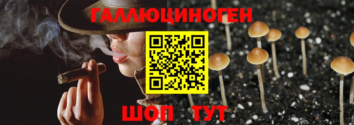 Псилоцибиновые грибы прущие грибы Усолье-Сибирское